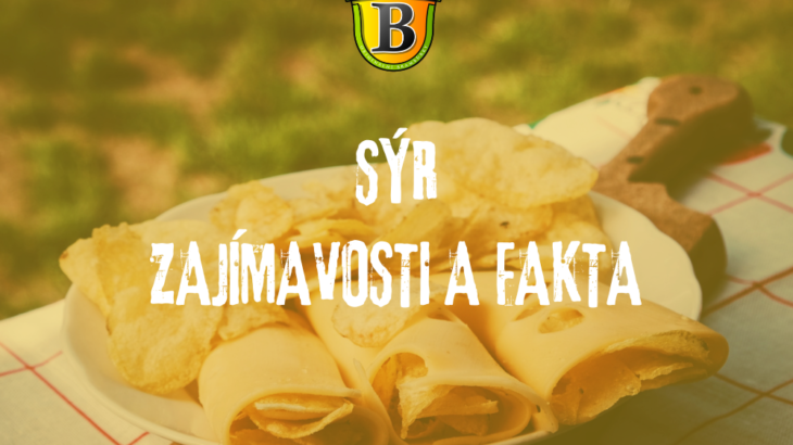 Zajímavosti a fakta o sýru