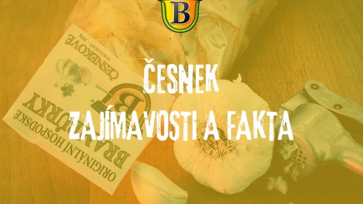 Zajímavosti a fakta o česneku