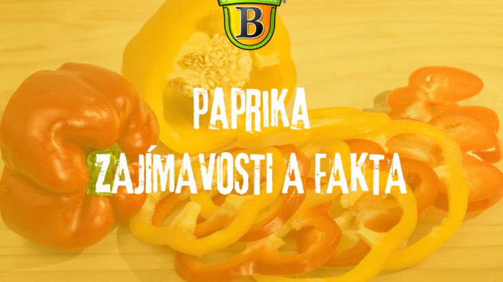 Zajímavosti a fakta o paprice