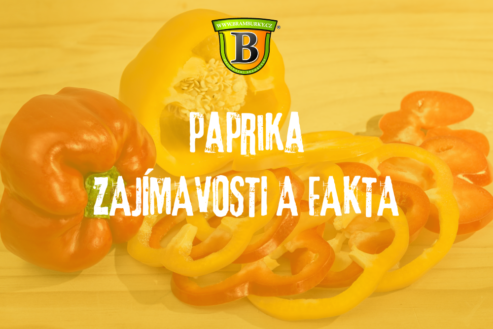 Zajímavosti a fakta o paprice