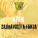 Křen: zajímavosti a fakta