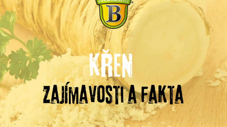 Křen: zajímavosti a fakta