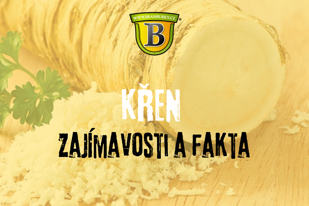 Křen: zajímavosti a fakta