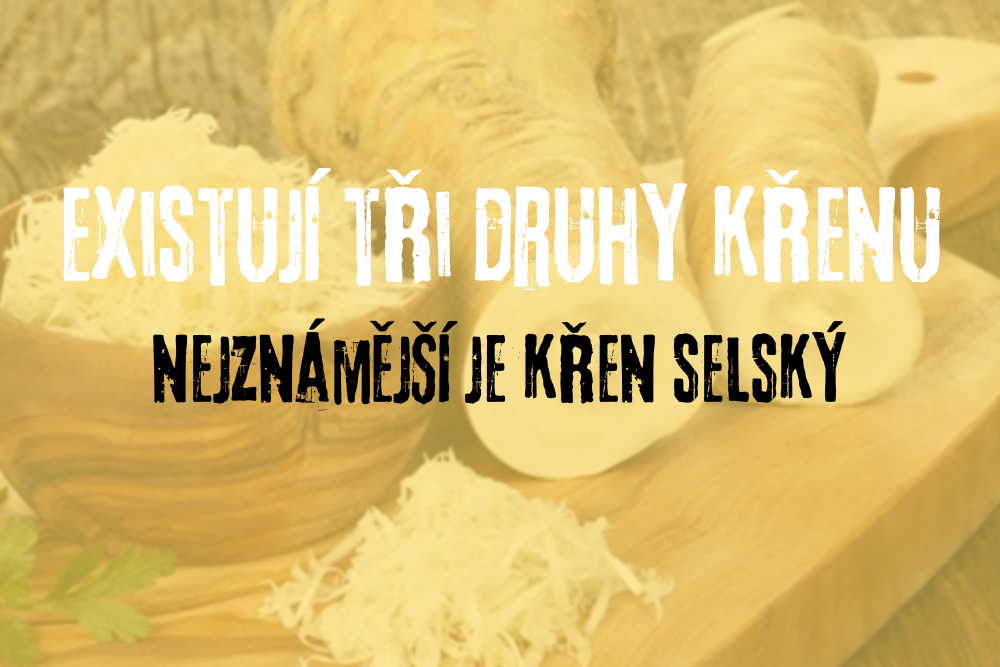 Druhy křenu