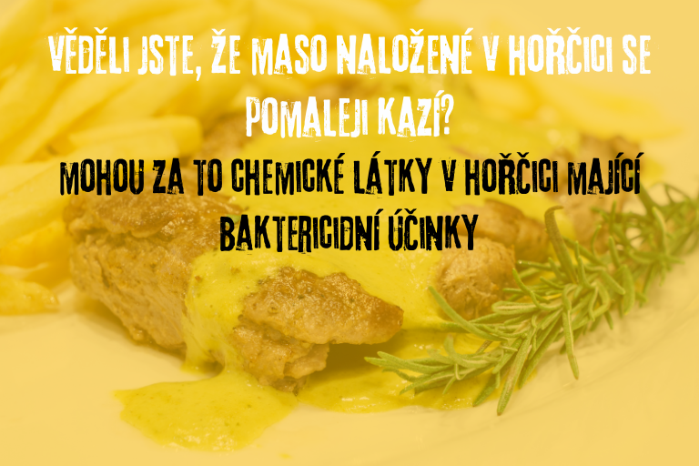 Hořčice - nakládání masa