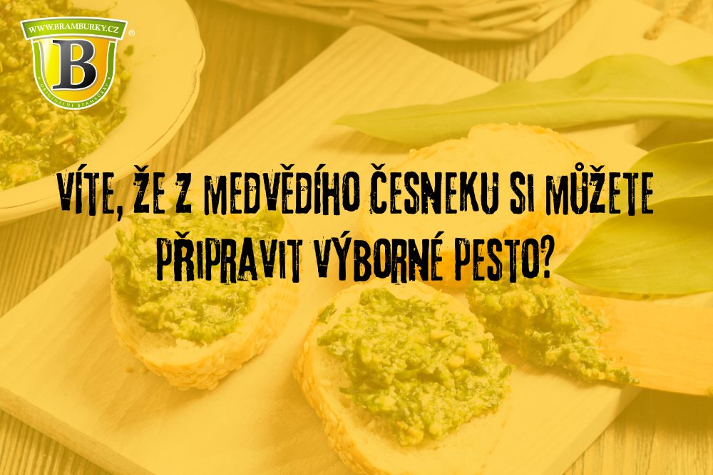 Pesto z medvědího česneku