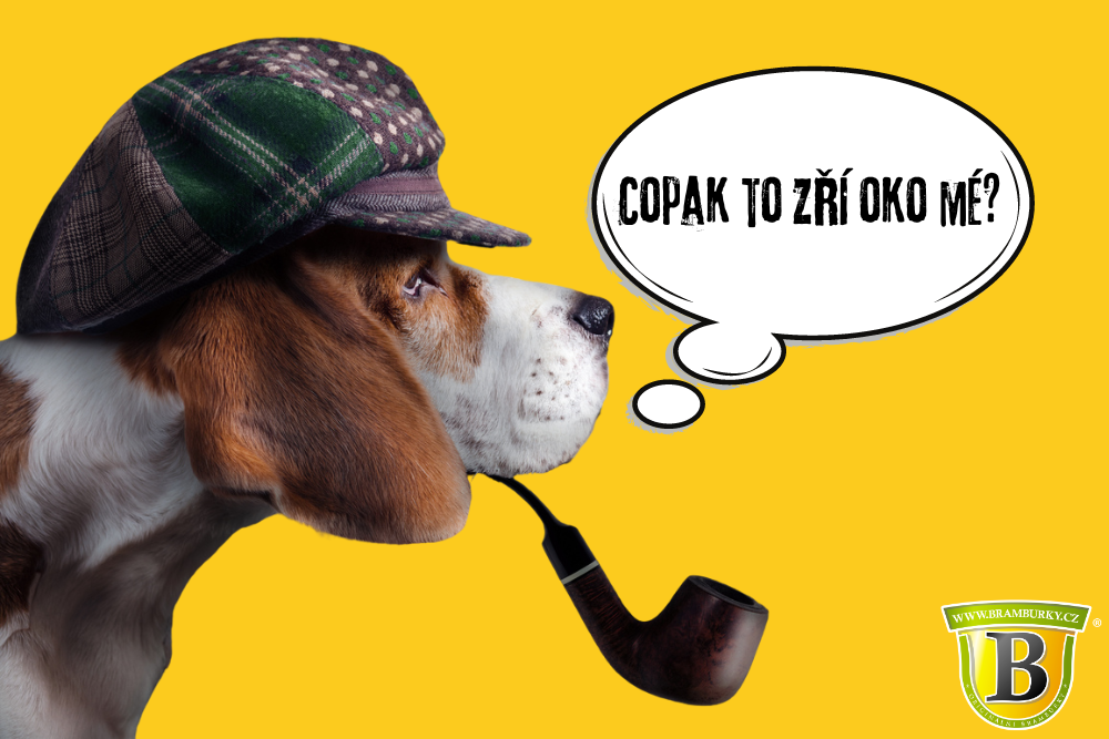 Originální jména pro psy - Sherlock Bones