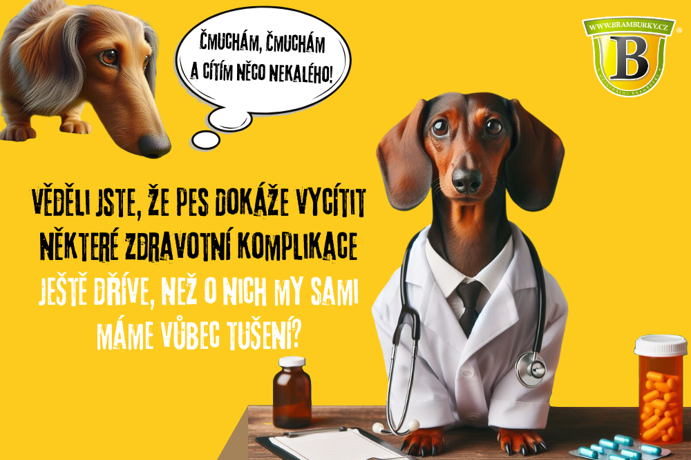 Pes doktor