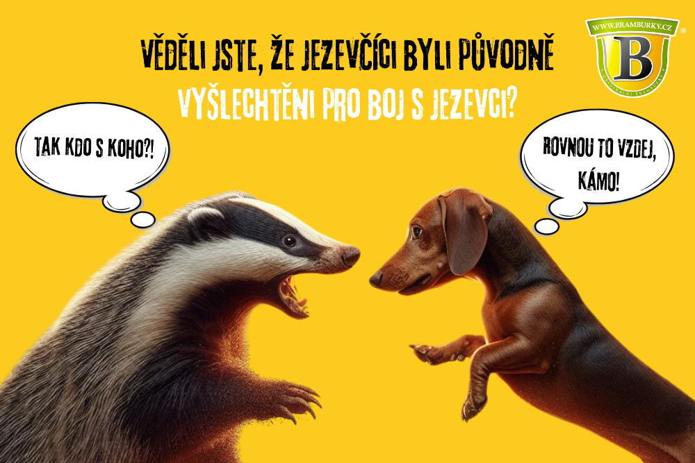 Jezevčík a jezevec