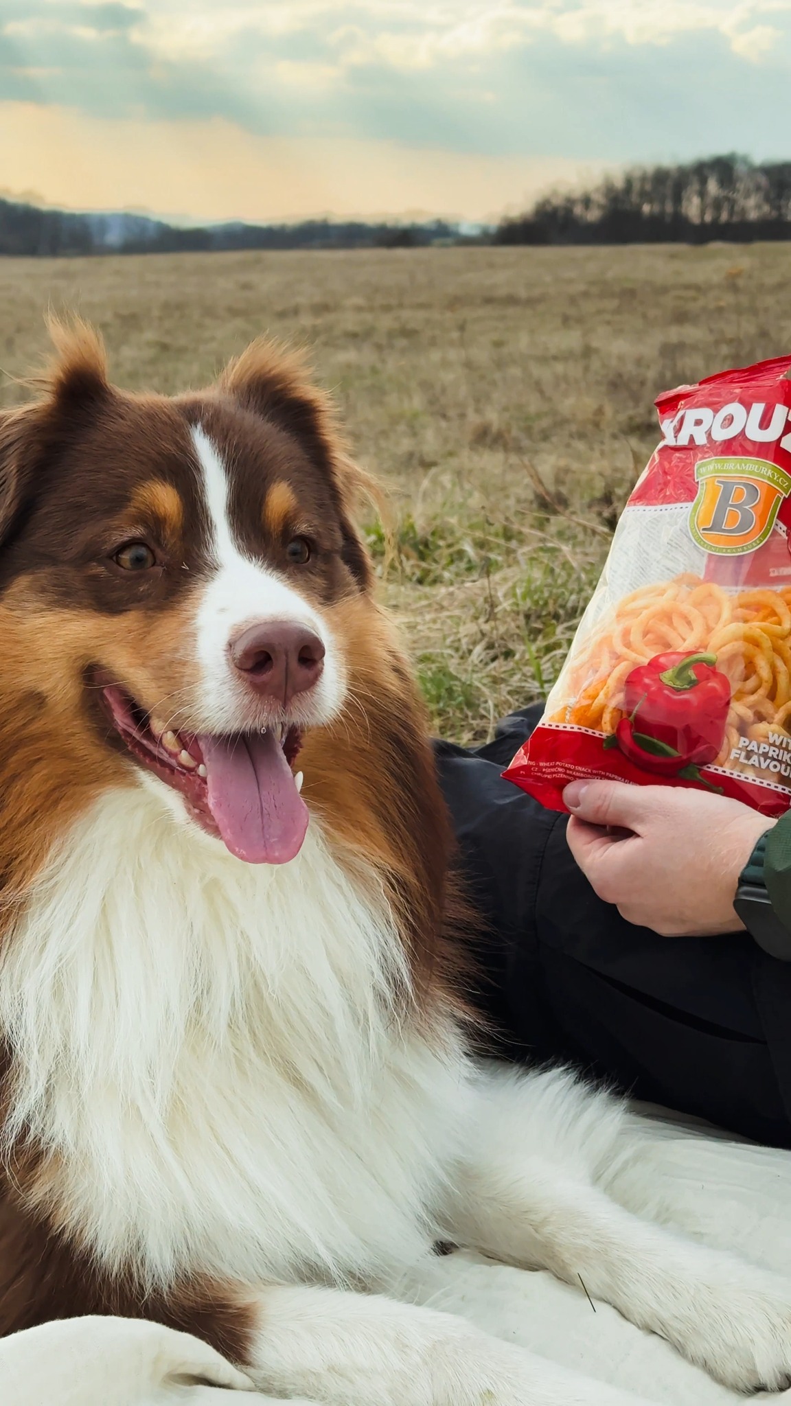 Originální hospodské brambůrky